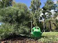 В Твери проходит Всероссийская акция «Сохраним лес»